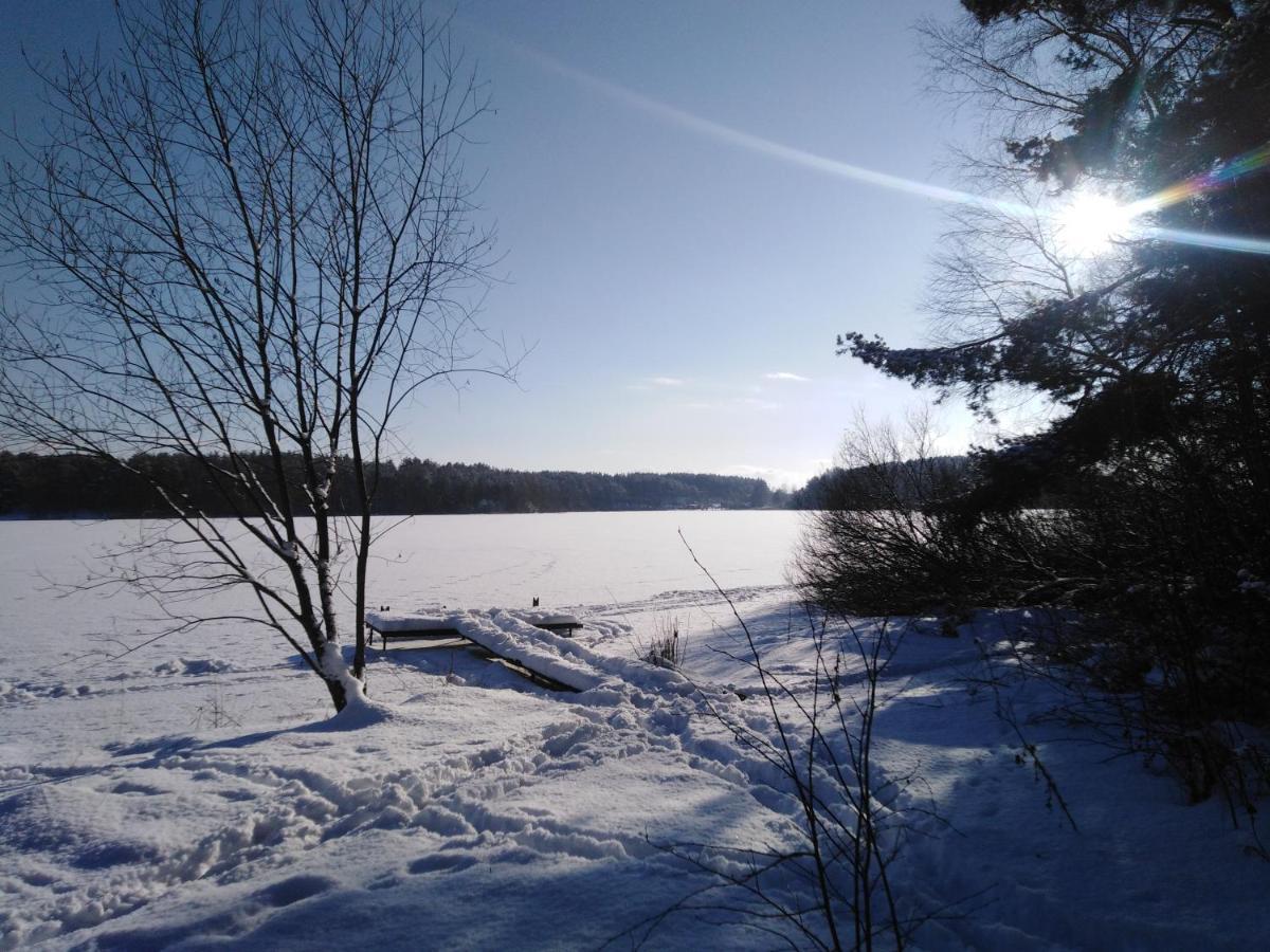 Grygielówka - Dom pod lasem Kamień Exterior foto
