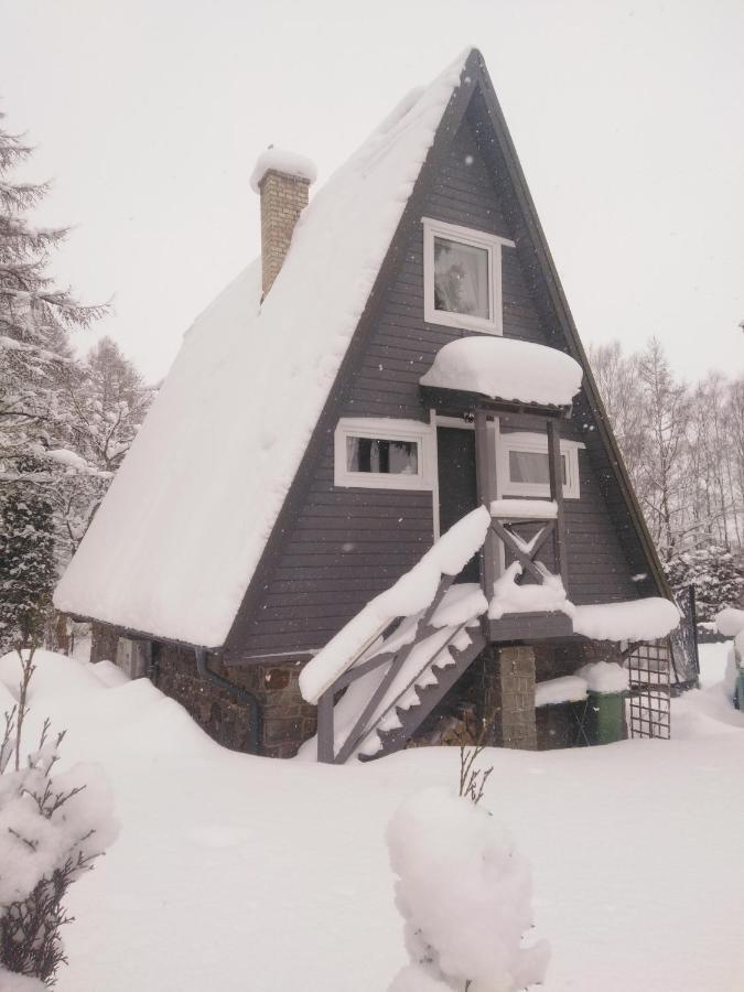 Grygielówka - Dom pod lasem Kamień Exterior foto